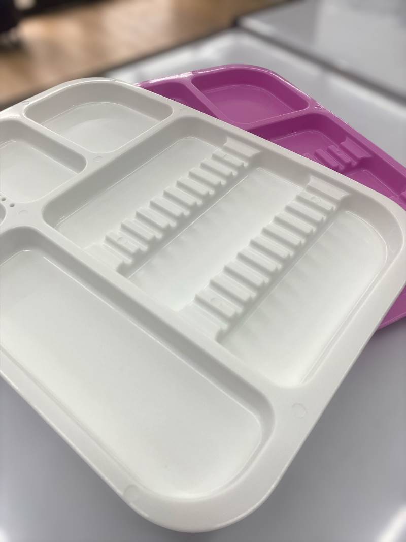 Bandeja plástica con divisiones 